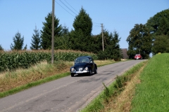 LN307655