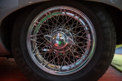 Rebbelroth_Classic_2018-731