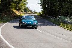 rebbelroth_classic_2018 (161)