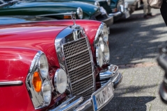 rebbelroth_classic_2018 (98)