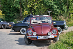 E_RC_2025_Lila_Kuh_25