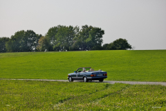 E_RC_2025_Lila_Kuh_34