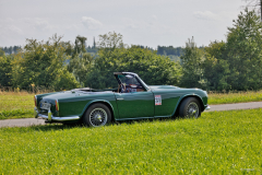 E_RC_2025_Lila_Kuh_4