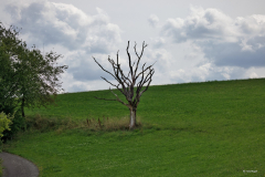 F_RC_2025_unterwegs_11
