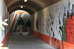 Foto-Nagel341