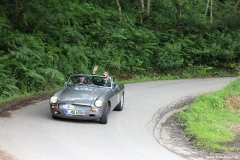 Foto-Nagel411