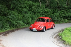 Foto-Nagel439