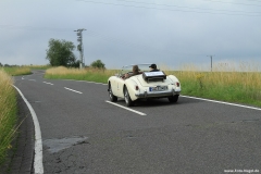 Foto-Nagel569
