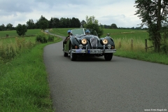 Foto-Nagel683