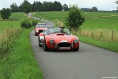 Foto-Nagel733