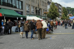 Foto-Nagel891