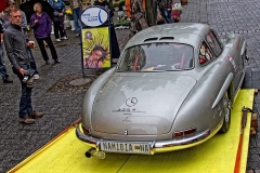 Liane_Nagel (25)