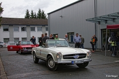 Liane_Nagel (289)
