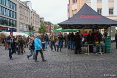 Liane_Nagel (292)