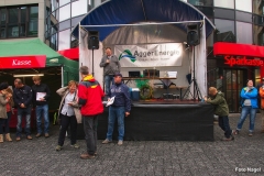 Liane_Nagel (331)