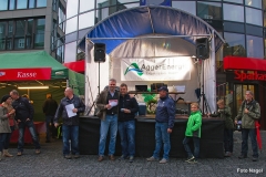 Liane_Nagel (378)