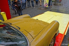 Liane_Nagel (39)
