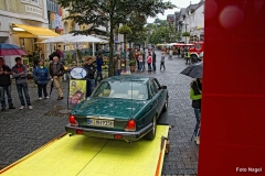 Liane_Nagel (45)