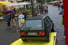 Liane_Nagel (56)