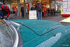 Liane_Nagel (72)
