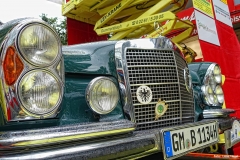 Foto_LianeDSC02984