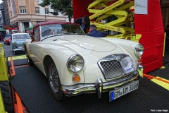 Foto_LianeDSC03236