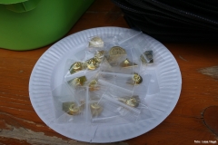 Foto_LianeDSC03267