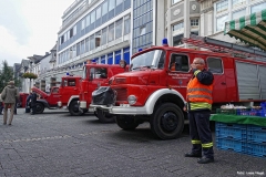 Foto_LianeDSC03283