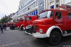 Foto_LianeDSC03284