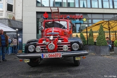 Foto_LianeDSC03290