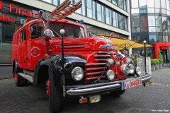 Foto_LianeDSC03298
