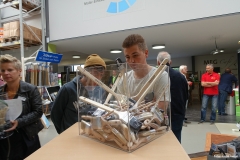 Foto_LianeDSC03338
