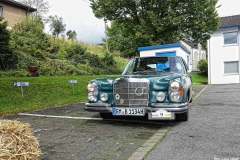 Foto_LianeDSC03346