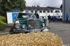 Foto_LianeDSC03347