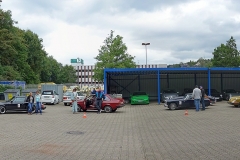 Foto_LianePanorama_cartronic