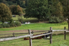 Foto_Liane_NagelIMG_3436-2