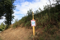 O47A8131
